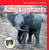 Baby Elephants - 9781502655998 by Nicole Horning, 9781502655998