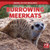 Burrowing Meerkats - 9781725316928 by Theresa Emminizer