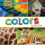 Colors at the Zoo by Elizabeth Morgan, 9781502659149