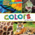 Colors at the Zoo - 9781502659163 by Elizabeth Morgan