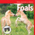 Foals - 9781502656094 by Nicole Horning