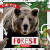 Forest Food Webs - 9781534535183 by William Anthony, 9781534535183