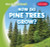 How Do Pine Trees Grow? by Kathleen Connors, 9781538263051
