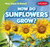 How Do Sunflowers Grow? - 9781538263112 by Kathleen Connors