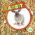 Life Cycle of a Rabbit - 9781534538009 by Kirsty Holmes, 9781534538009