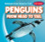 Penguins from Head to Tail - 9781538255285 by Emmett Martin, 9781538255285