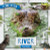 River Food Webs by William Anthony, 9781534535329