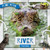 River Food Webs - 9781534535343 by William Anthony, 9781534535343