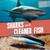 Sharks and Cleaner Fish - 9781538266939 by Janey Levy, 9781538266939