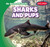 Sharks and Pups by Natalie K. Humphrey, 9781538255902