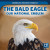 The Bald Eagle: Our National Emblem by Jinnow Khalid, 9781725317185