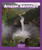 Amazon Adventure by Layne deMarin, 9781429679077