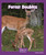 Forest Doubles by Mary Lindeen, 9781429679220