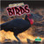 Creepy But Cool Birds - 9781427161741 by Julie K. Lundgren, Amy Culliford, 9781427161741