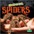 Creepy But Cool Spiders - 9781427161826 by Julie K. Lundgren, Amy Culliford, 9781427161826
