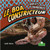 Le boa constricteur (Boa Constrictors) by Kelli Hicks, Annie Evearts, 9781039608689