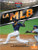 La MLB (MLB) - 9781039613638 by B. Keith Davidson, Santiago Ochoa, Gilda Kupferman, 9781039613638
