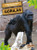 Gorilas (Gorillas) - 9781039617360 by Amy Culliford, Pablo de la Vega, Gilda Kupferman, 9781039617360