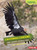 California Condors (Wide-Winged Soaring Birds) by Laura Hamilton Waxman, 9781467796392