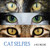 Cat Selfies by M.D. Mullins, 9781642932959