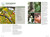 Foraging (Explore Nature's Bounty and Turn Your Foraged Finds Into Flavorful Feasts) by Mark Vorderbruggen, 9780744051445