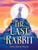 The Last Rabbit - 9780593173565 by Shelley Moore Thomas, 9780593173565