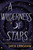 A Wilderness of Stars by Shea Ernshaw, 9781665900249