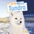 Day and Night on the Tundra - 9781663976895 by Mary Boone, 9781663976895