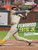 Fernando Tatis Jr. (Big-Time Hitter) - 9781663983589 by Matt Chandler, 9781663983589
