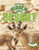 Animals Hidden in the Desert by Jessica Rusick, 9781666318029