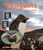 Penguins: A Compare and Contrast Book by Cher Vatalaro, 9781643519876