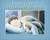 Moose n' Me by Kenny Loggins, Joshua Nash, 9780578075525
