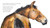 Hello, Horse (Read and Wonder) - 9781536223545 by Vivian French, Catherine Rayner