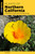 Plants of Northern California (A Field Guide to Plants West of the Sierra Nevada) - 9781493067183 by Eva Begley, 9781493067183