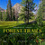 America's Great Forest Trails (100 Woodland Hikes of a Lifetime) by Tim Palmer, 9780847867578