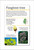 Our World in Pictures Trees of the World Flash Cards by DK, 9780744058307