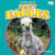 Baby Eagles by Jenna Grodzicki, 9781636913629