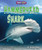 Hammerhead Shark - 9781636915326 by Martha London, 9781636915326