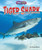 Tiger Shark - 9781636915340 by Rachel Rose, 9781636915340