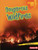 Dangerous Wildfires by Lola Schaefer, 9781728441412