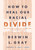 How to Heal Our Racial Divide (What the Bible Says, and the First Christians Knew, about Racial Reconciliation) by Derwin L. Gray, Annie F. Downs, 9781496458803