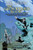 The Graveyard Book Graphic Novel: Volume 2 by Neil Gaiman, P. Craig Russell, P. Craig Russell, 9780062194831
