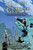 The Graveyard Book Graphic Novel: Volume 2 by Neil Gaiman, P. Craig Russell, P. Craig Russell, 9780062194831
