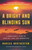 A Bright and Blinding Sun (A World War II Story of Survival, Love, and Redemption) by Marcus Brotherton, 9780316318914