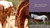 Wild Horses by Melissa Marr, Melissa Marr, 9780593109113
