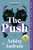 The Push: A GMA Book Club Pick (A Novel) - 9781984881687 by Ashley Audrain, 9781984881687