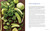 Anti-Aging Dishes from Around the World (Recipes to Boost Immunity, Improve Skin, Promote Longevity, Lower Inflammation, and Detoxify) by Grace O., Mark A. Rosenberg, 9781510768604