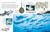 Eyewitness Shark (Dive into the fascinating world of sharks) by DK, 9780744056419