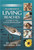 Florida's Living Beaches (A Guide for the Curious Beachcomber) by Blair Witherington, 9781561649815