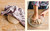 Flour Power (The Practice and Pursuit of Baking Sourdough Bread) by Tara Jensen, Claire Saffitz, 9780593232460